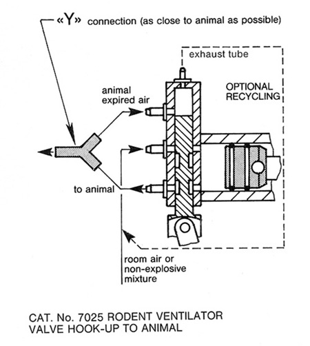 fig7025