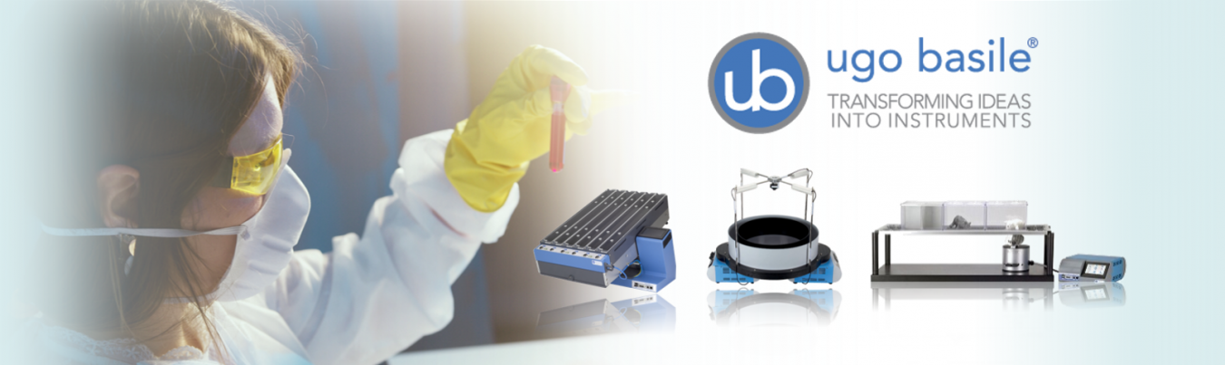 UB banner